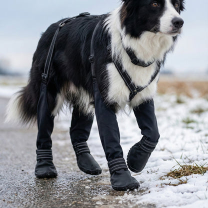 SnugPaws Premium - Because happy paws mean happy walks.