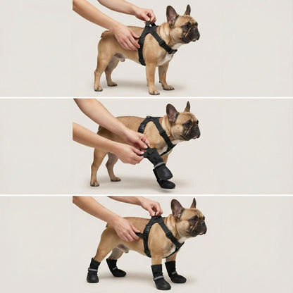 SnugPaws Premium - Because happy paws mean happy walks.